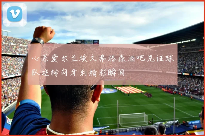 心系爱尔兰埃文弗格森酒吧见证球队逆转匈牙利精彩瞬间