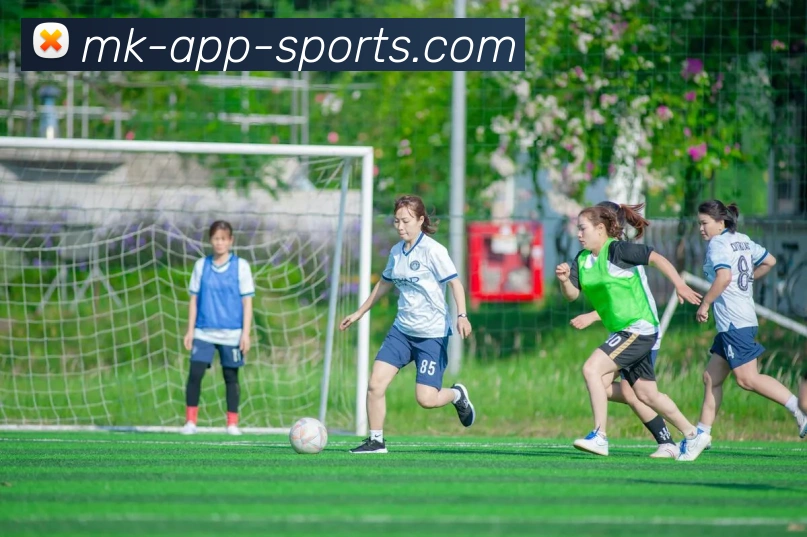 MK体育平台生态图