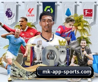 MK体育 APP - mksports